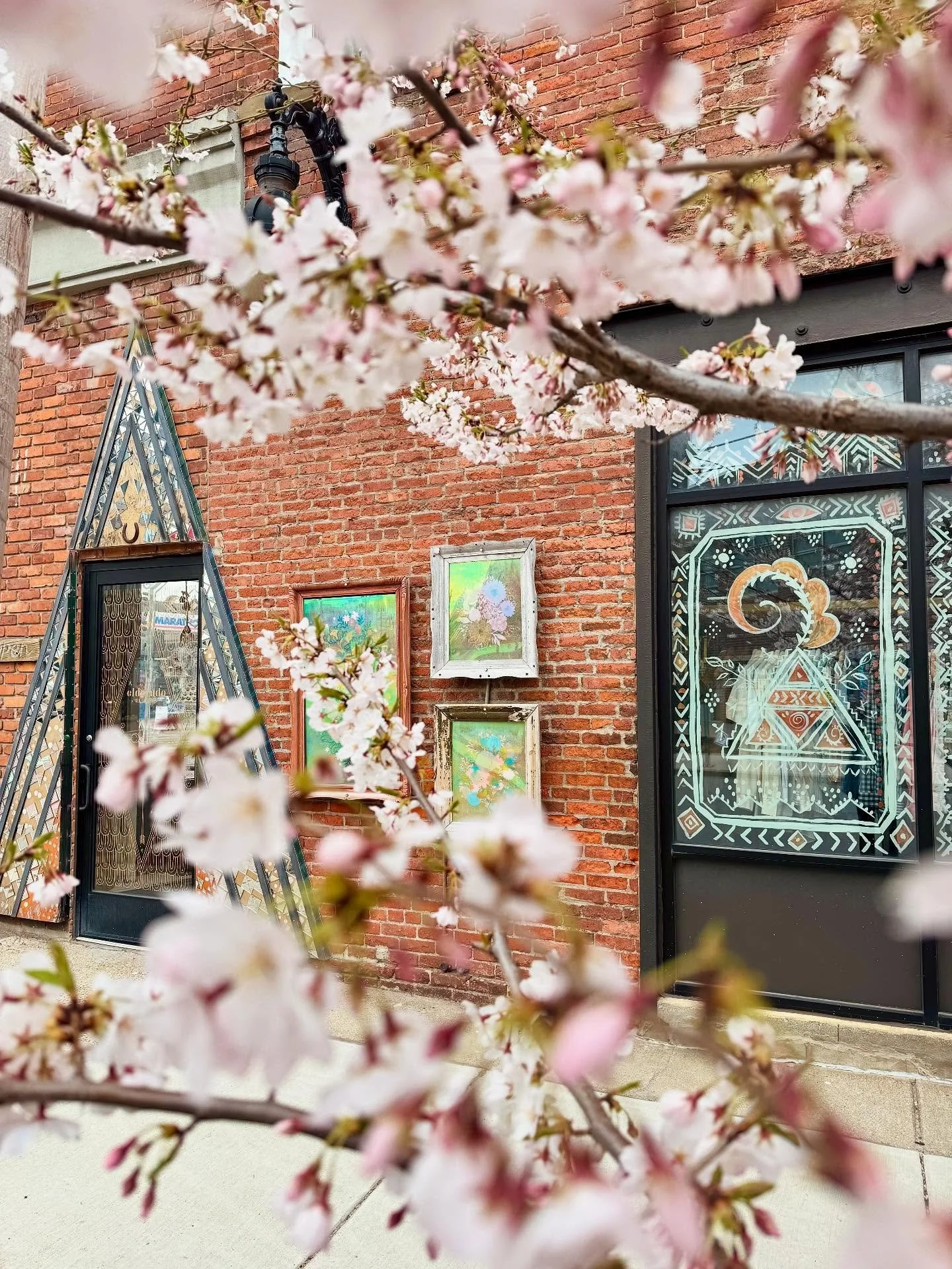 We&rsquo;re closed today &amp; wishing you a beautiful Easter.

See you and these blooming flowers back at it tomorrow 1-6pm 🌸🌸🌸🌸