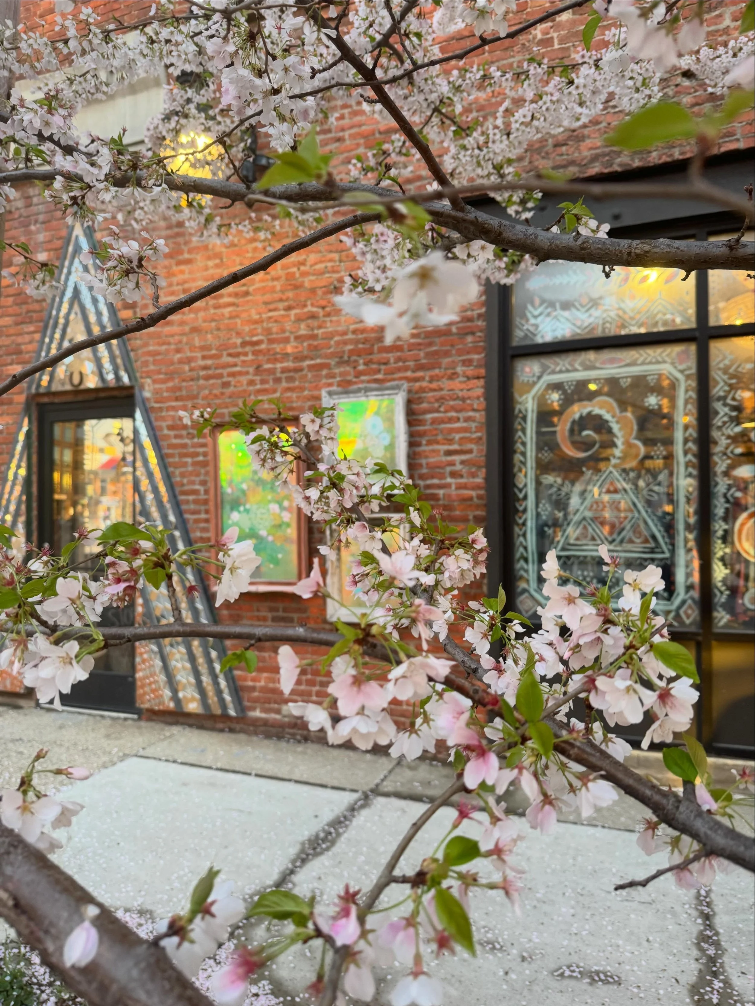 Spring has sprung! We&rsquo;re heading out on a fun adventure and we&rsquo;re closing up shop for Spring Break from Thursday, May 7th through Monday, May 18th. Wishing you all a happy and flower filled spring ✨🌸✨