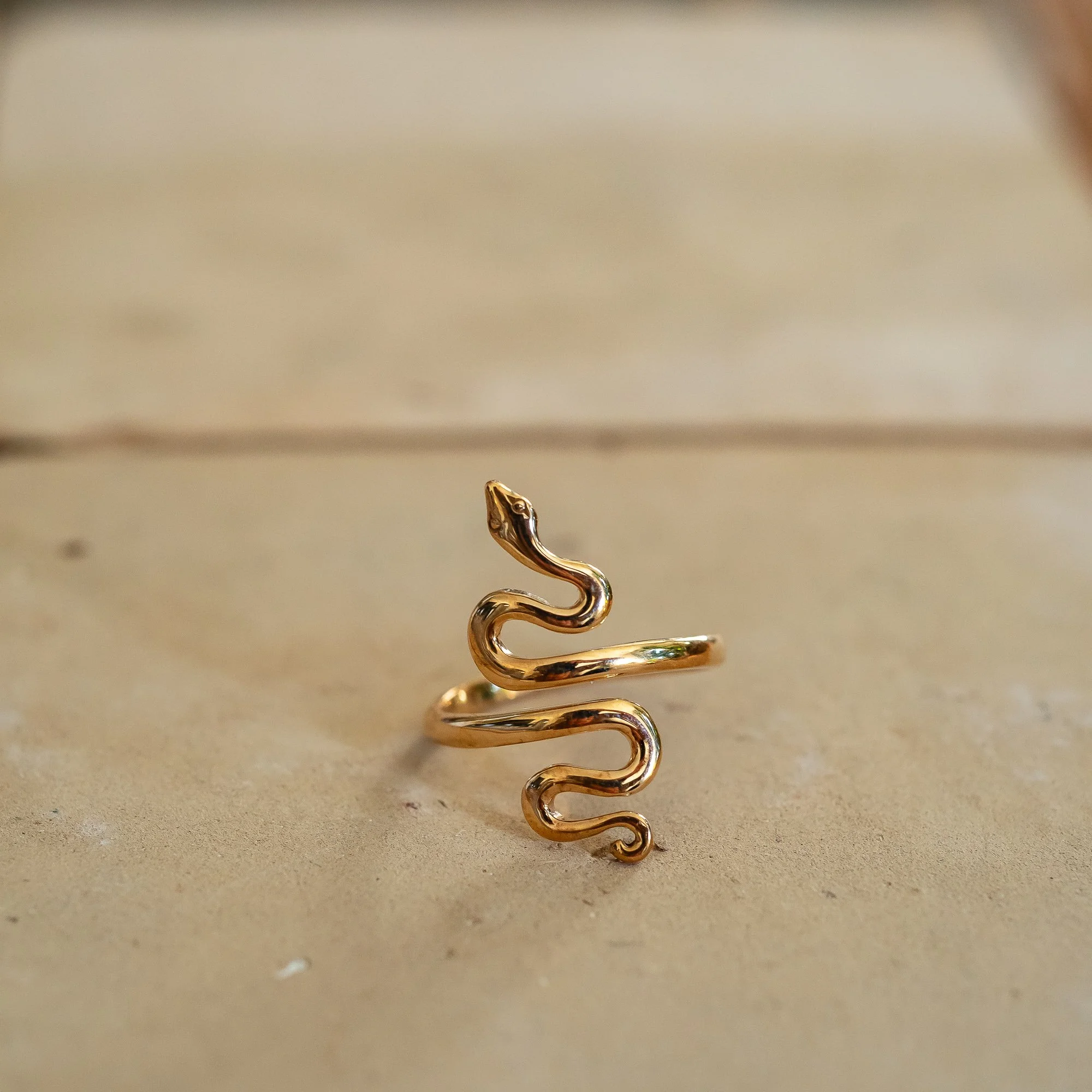 eldorado_general_store_detroit_baizzar_ring-81.jpg