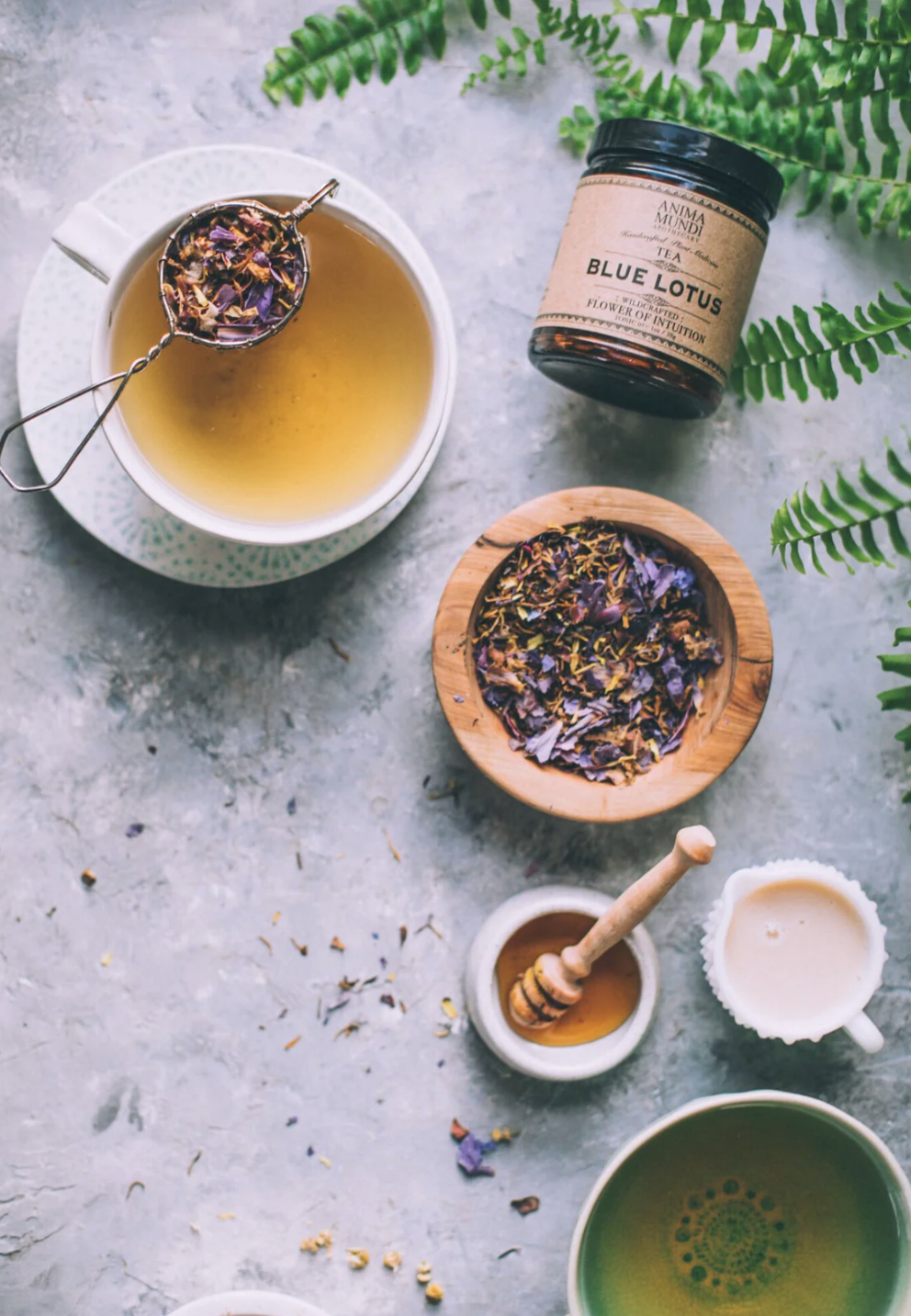 Screenshot 2026-01-29 at 2.00.29 PM.png