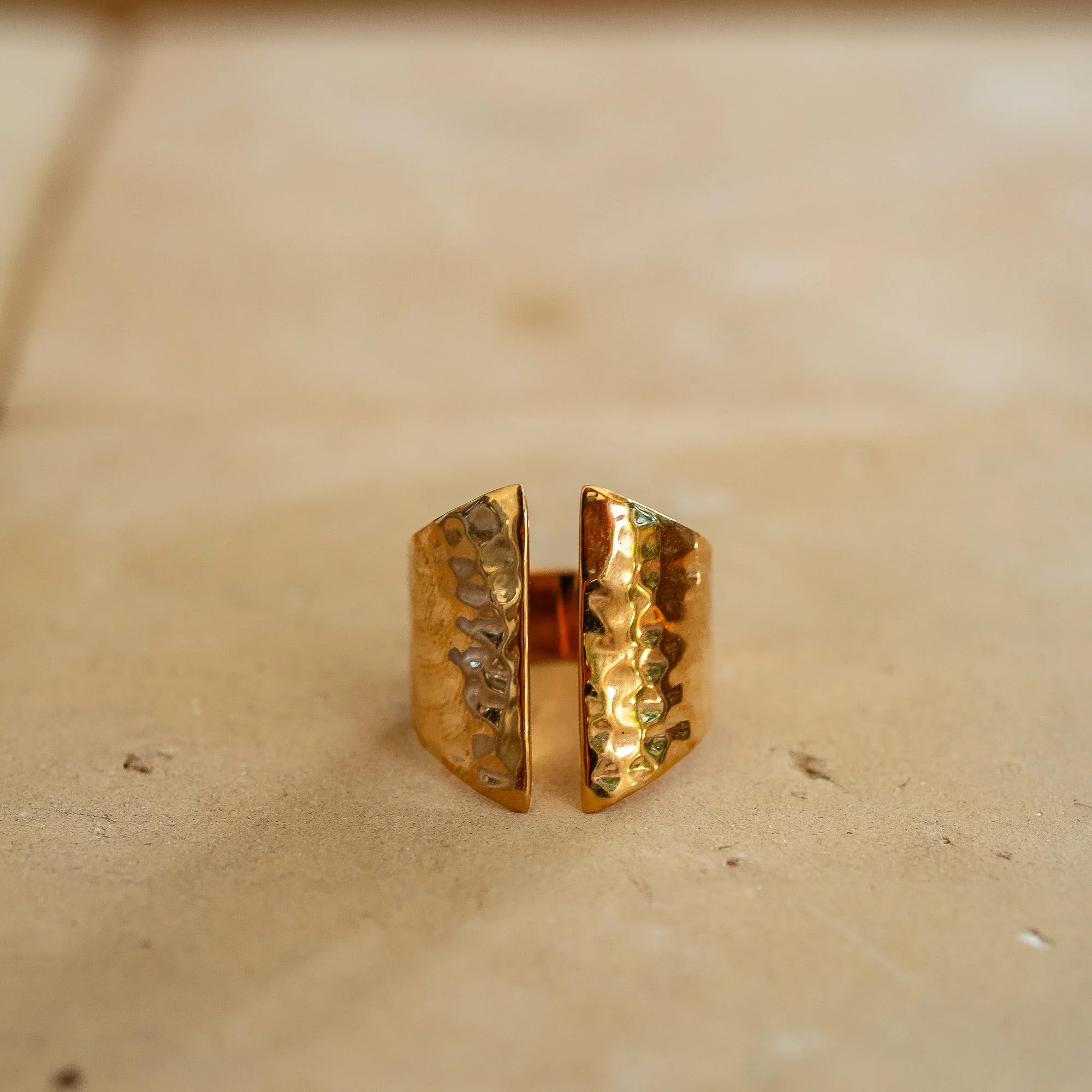 eldorado_general_store_detroit_baizzar_ring-71.jpg