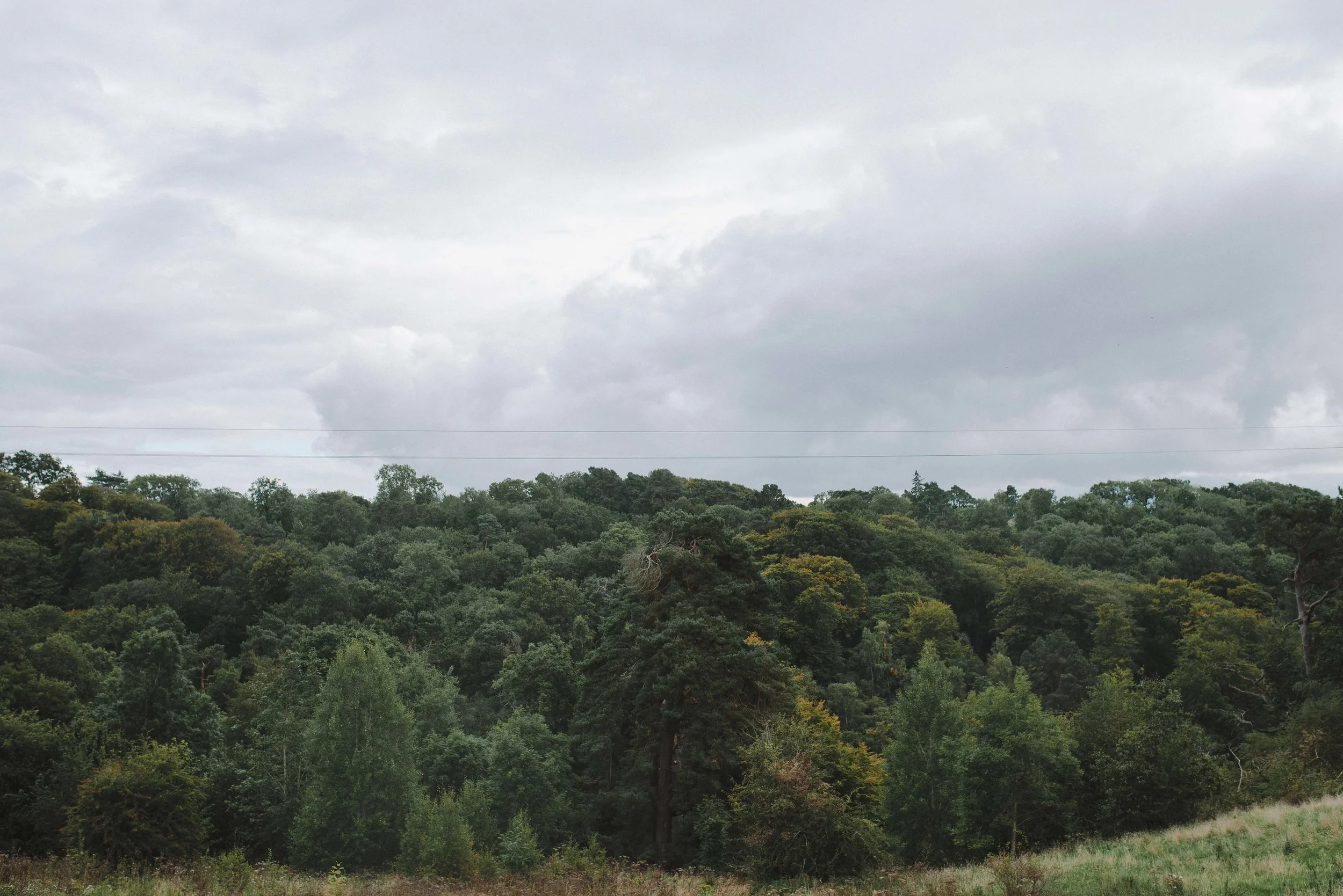 Roslin Glen Engagement Shoot25.jpg