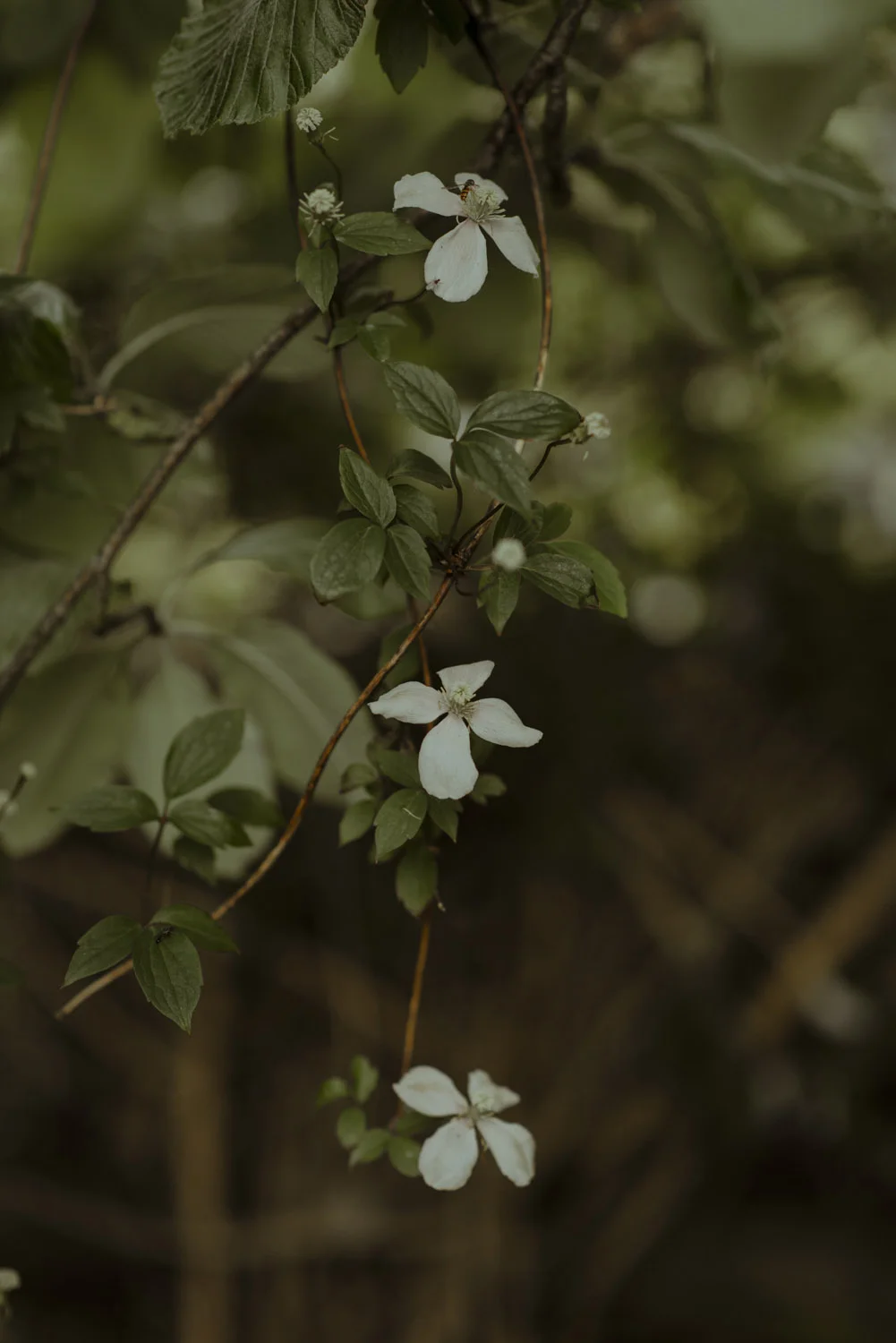 Dalduff Farm Wedding60.jpg