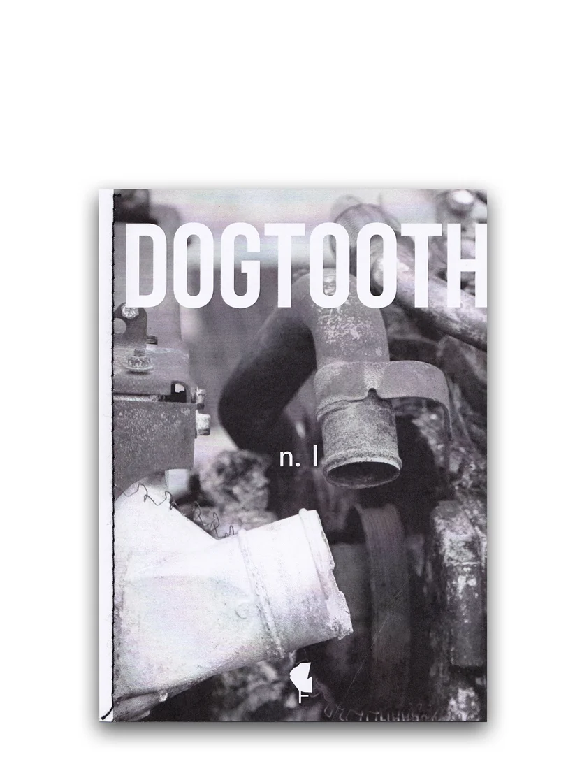 dogto#1_cov.jpg