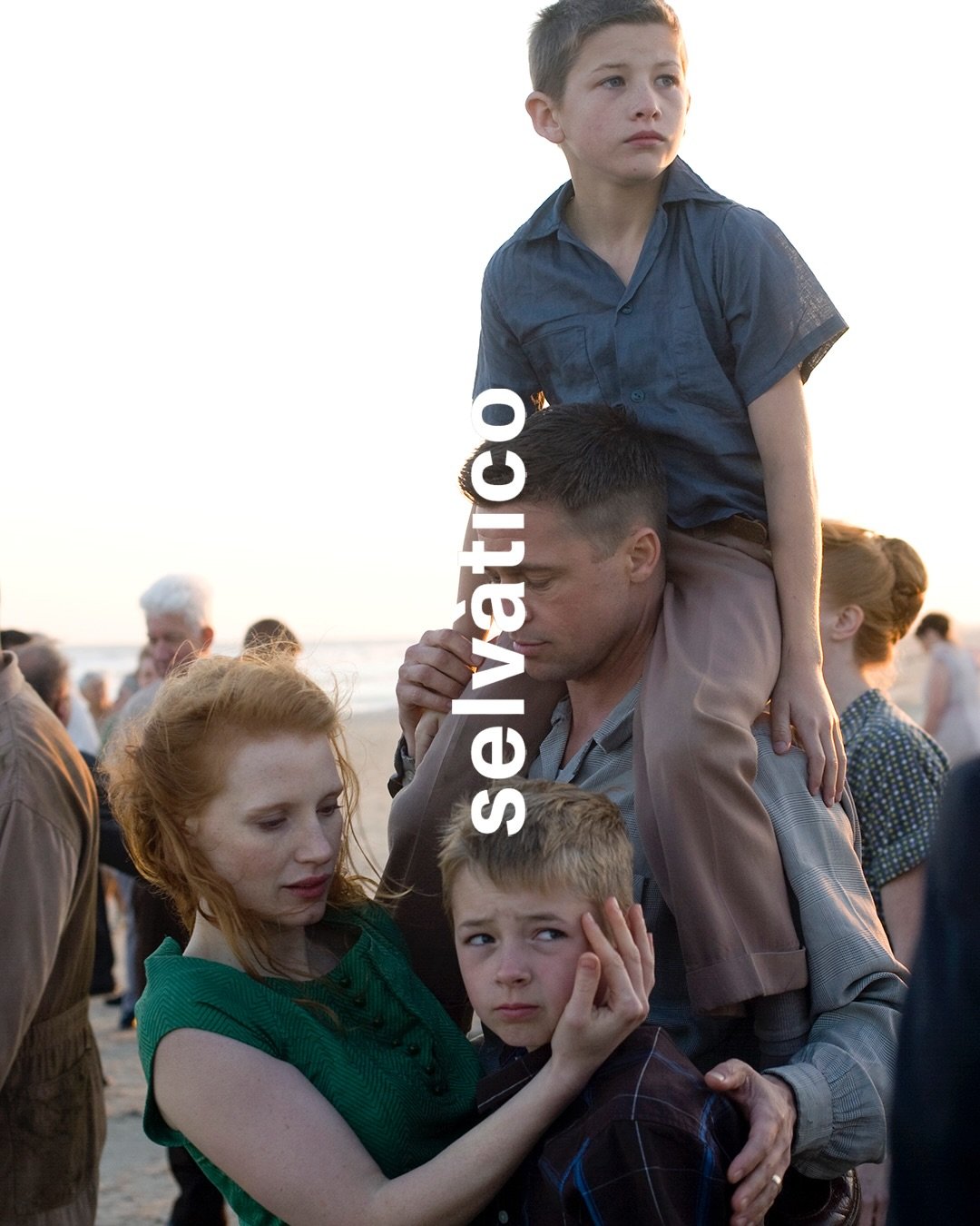 'Ci sono albe in cui mi sembra che la giornata abbia origine direttamente dai sogni della notte precedente. Le origini, per me, hanno sempre qualcosa di nebuloso: avvolte nel mito, si spostano in un paesaggio vasto delle nostre conoscenze. A volte le