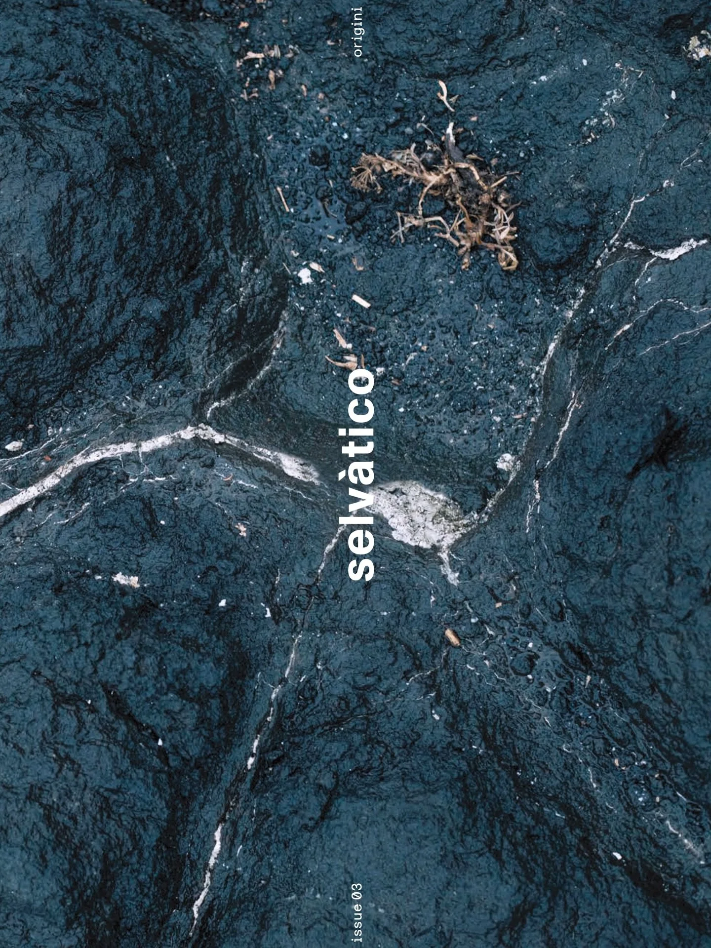 selvatico &bull; issue 03 &bull; origini

Un&rsquo;esplorazione a pi&ugrave; voci intorno a quello che ci ha preceduto, quello che genera, sostiene e talvolta prevede il nostro rapporto con i paesaggi / mondi che ci circondano, attraversando le nostr