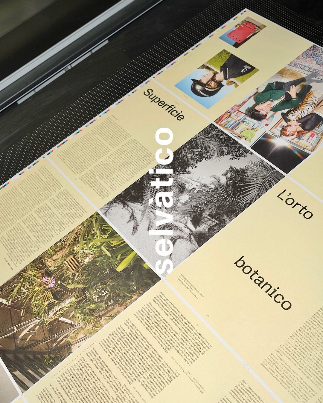 selv&agrave;tico &bull; issue 03 &bull; origini