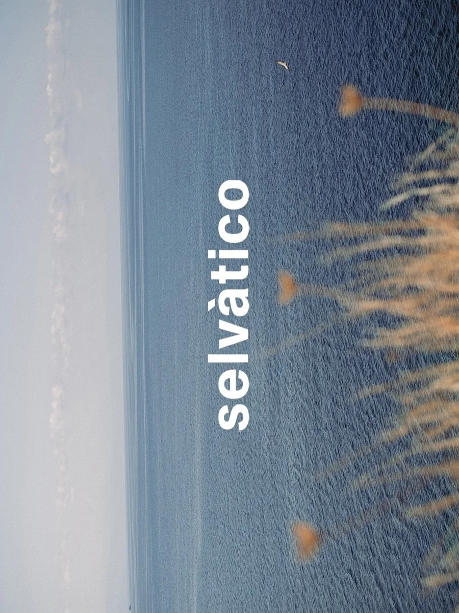 'Salina &egrave; una piccola Sicilia.
Situata al centro dell&rsquo;arcipelago delle Eolie, &egrave; suddivisa in tre comuni: Santa Marina, Malfa e Leni. Le altre sei isole, invece, fanno tutte capo al comune di Lipari, come se Salina fosse distaccata