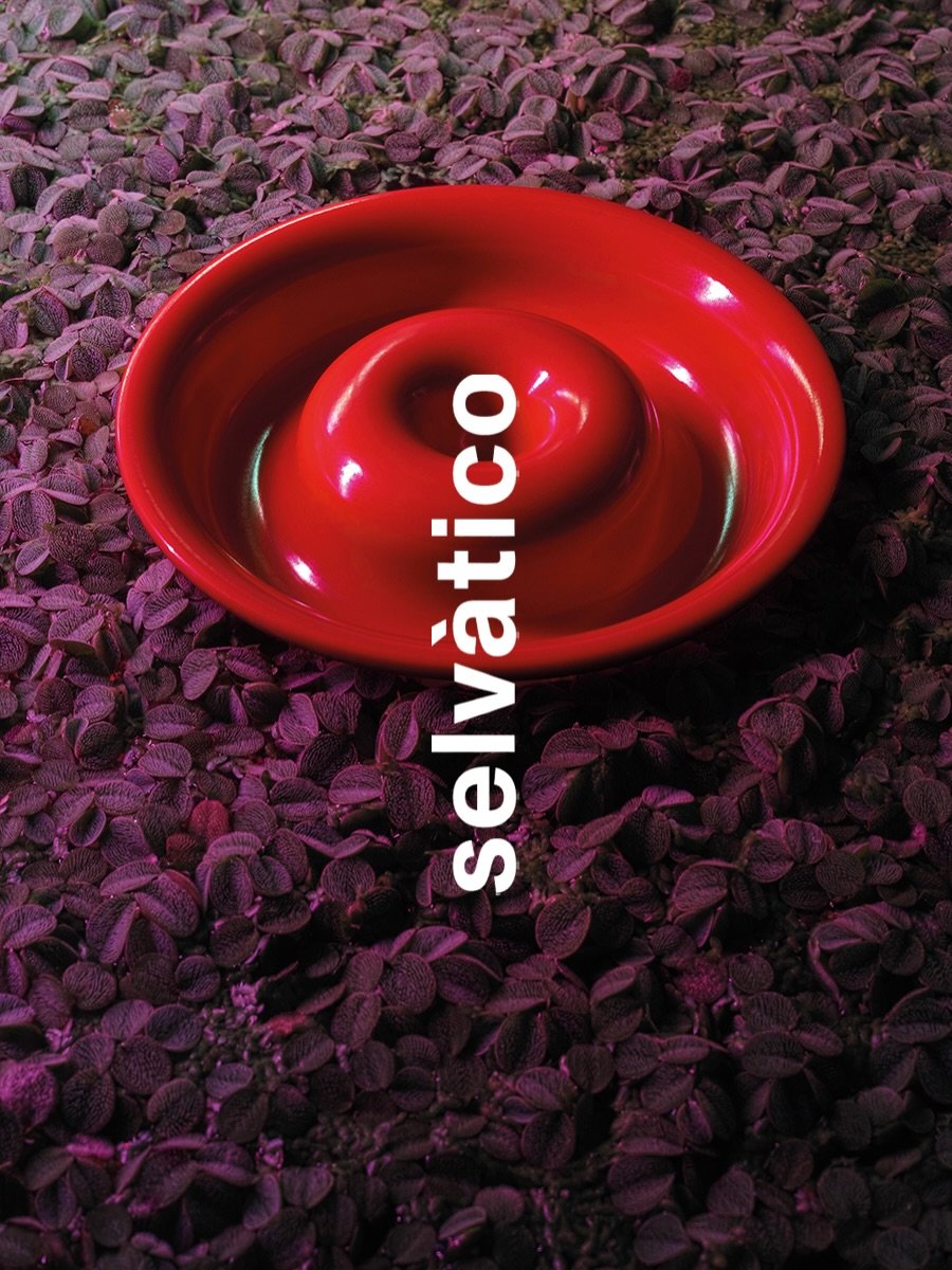 'Dieci Posacenere'
Fotografie di Francesco Caredda
Selezione a cura di Federico Angi

&bull; Portacenere 4632 - Isao Hosoe, Kartell, 1971
&bull; More or Less - Alfredo H&auml;berli, Driade, 1997
&bull; Serie Synthesis 45 - Ettore Sottsas, Olivetti, 1