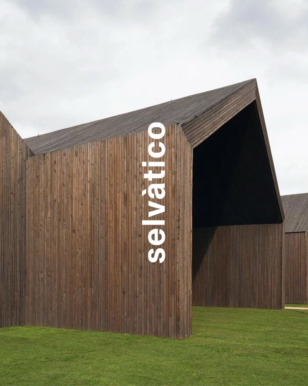 'Ma procediamo con ordine. La prima missione di Antonino Fern&aacute;ndez, morto nel 2016 a Citt&agrave; del Messico, fu di recuperare le scuole del paese, a partire proprio dall&rsquo;ultima aula che frequent&ograve; prima di lasciare Cerezales, a 1