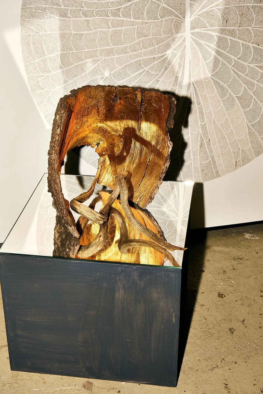 Alice Padovani_124.jpg