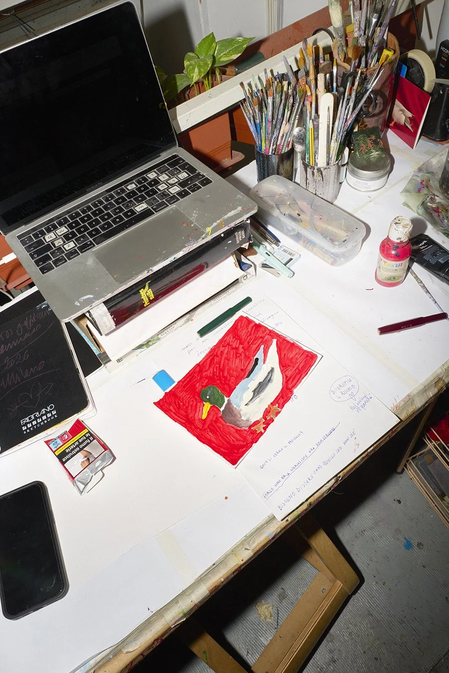 SPAZIO_SELVATICO_MISSGOFFTOWN_027.jpg