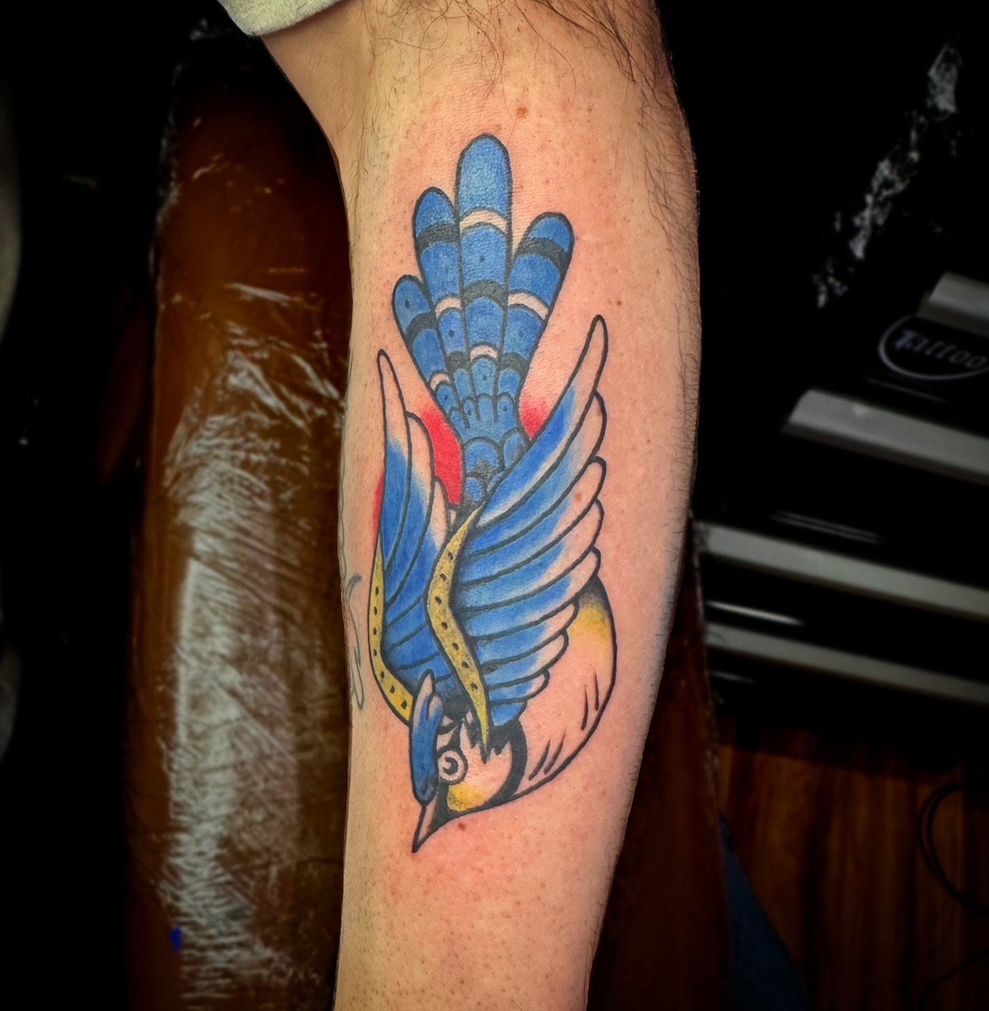 Custom Blue Jay tattoo done at @crowcountytattoo 🐦

Plenty of availability in November! DM with any questions or follow the link in my bio to book an appointment.