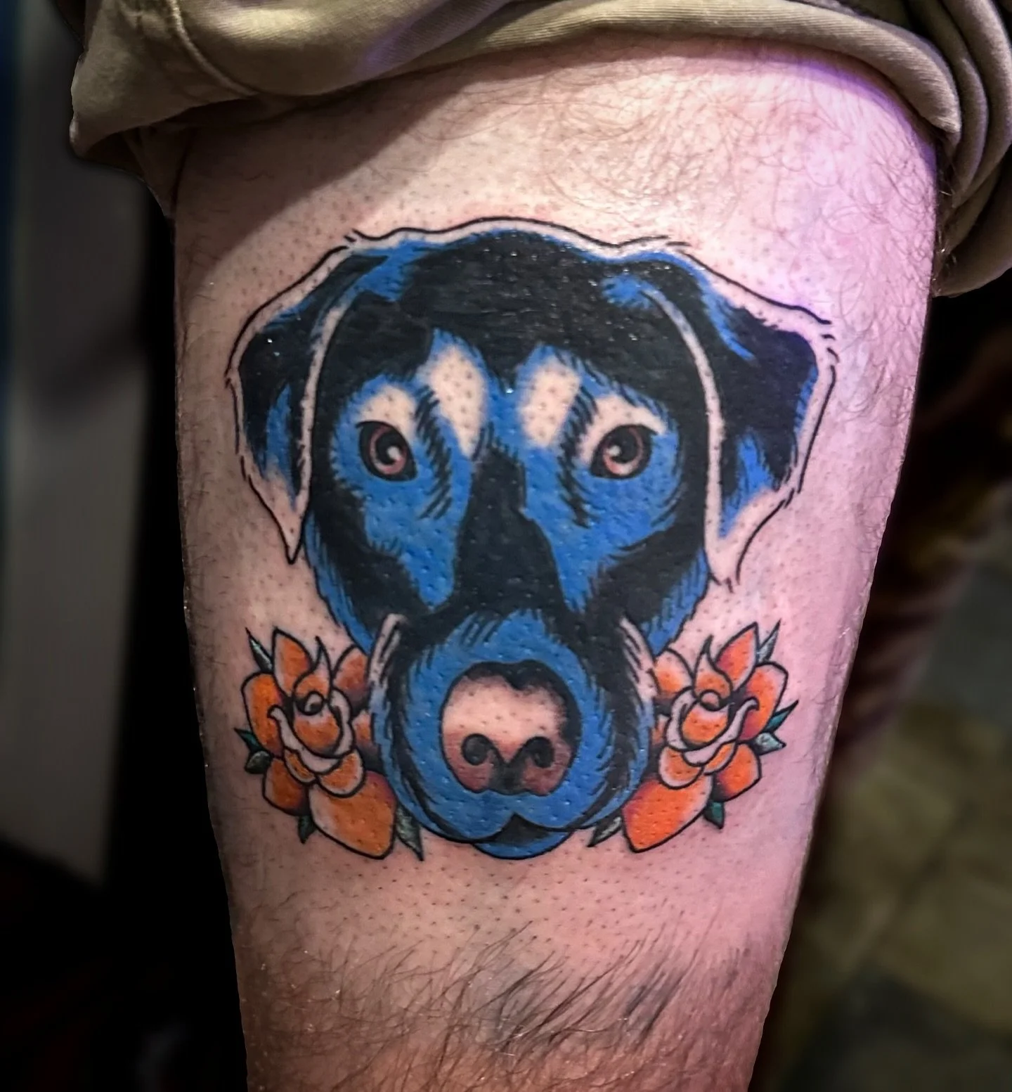 They say &ldquo;man&rsquo;s best friend&rdquo; for a reason 🐶

Custom dog portrait in a traditional style. Honor your pet with a tattoo! Booking appointments at @crowcountytattoo just follow the links in my bio!