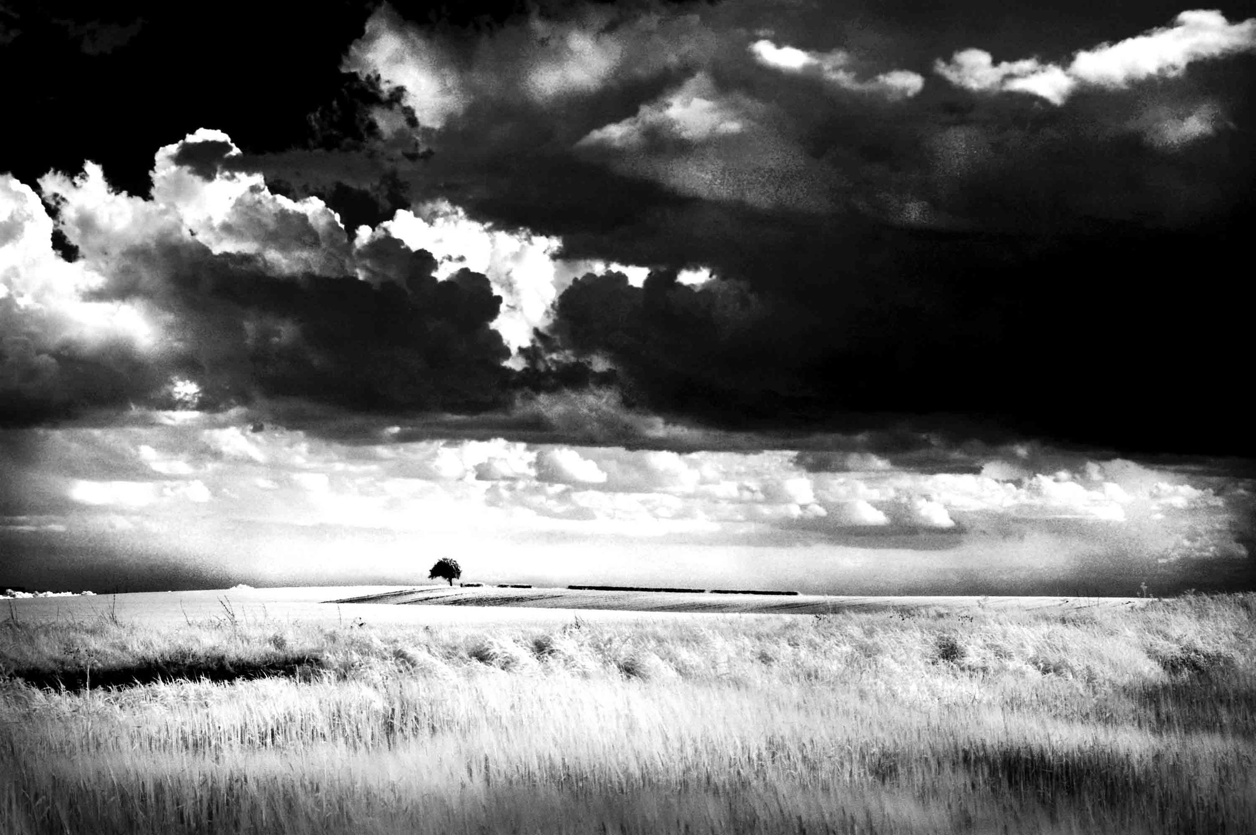 Storm over Towton, by Rae Tan