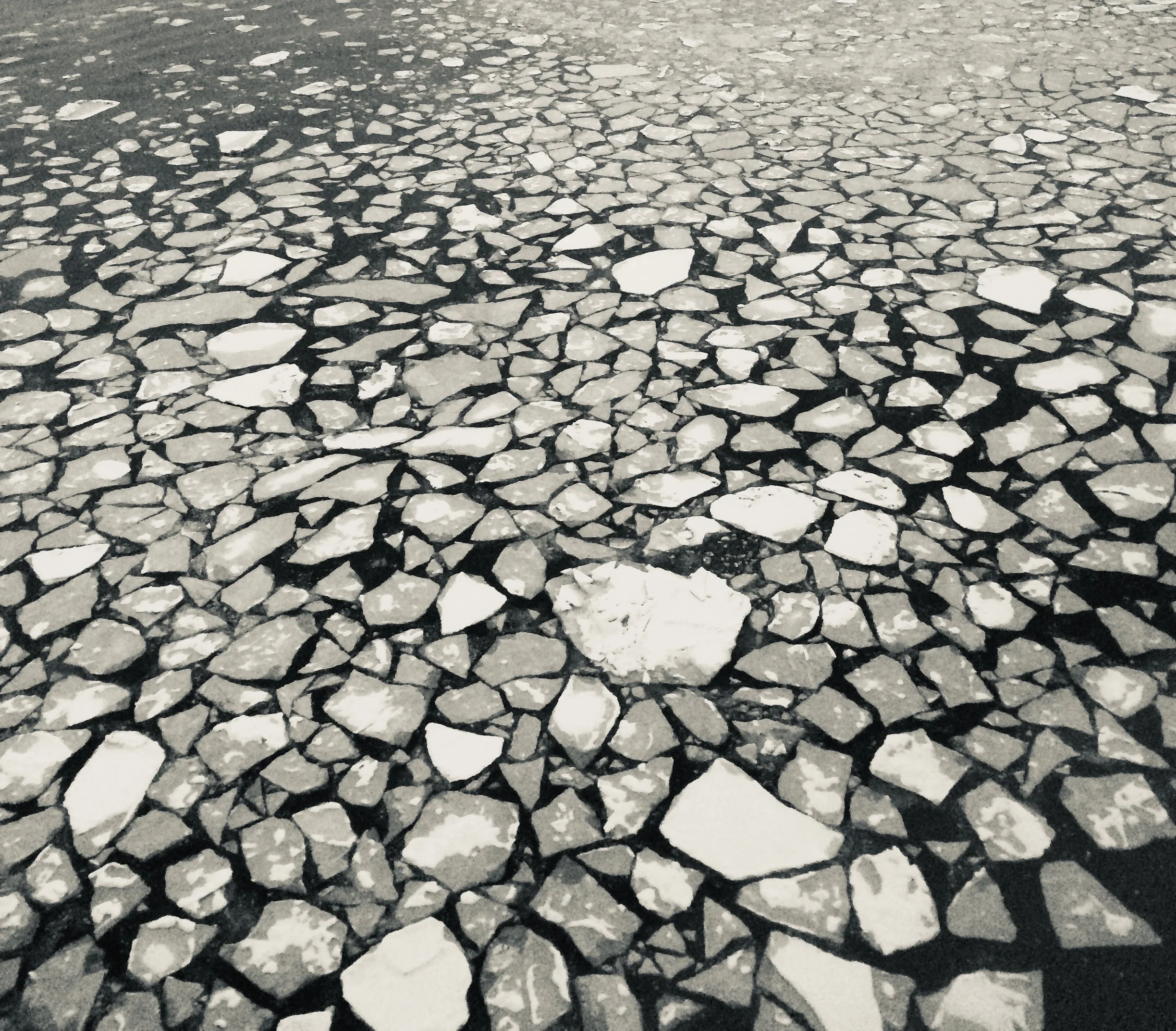 March ice.jpg