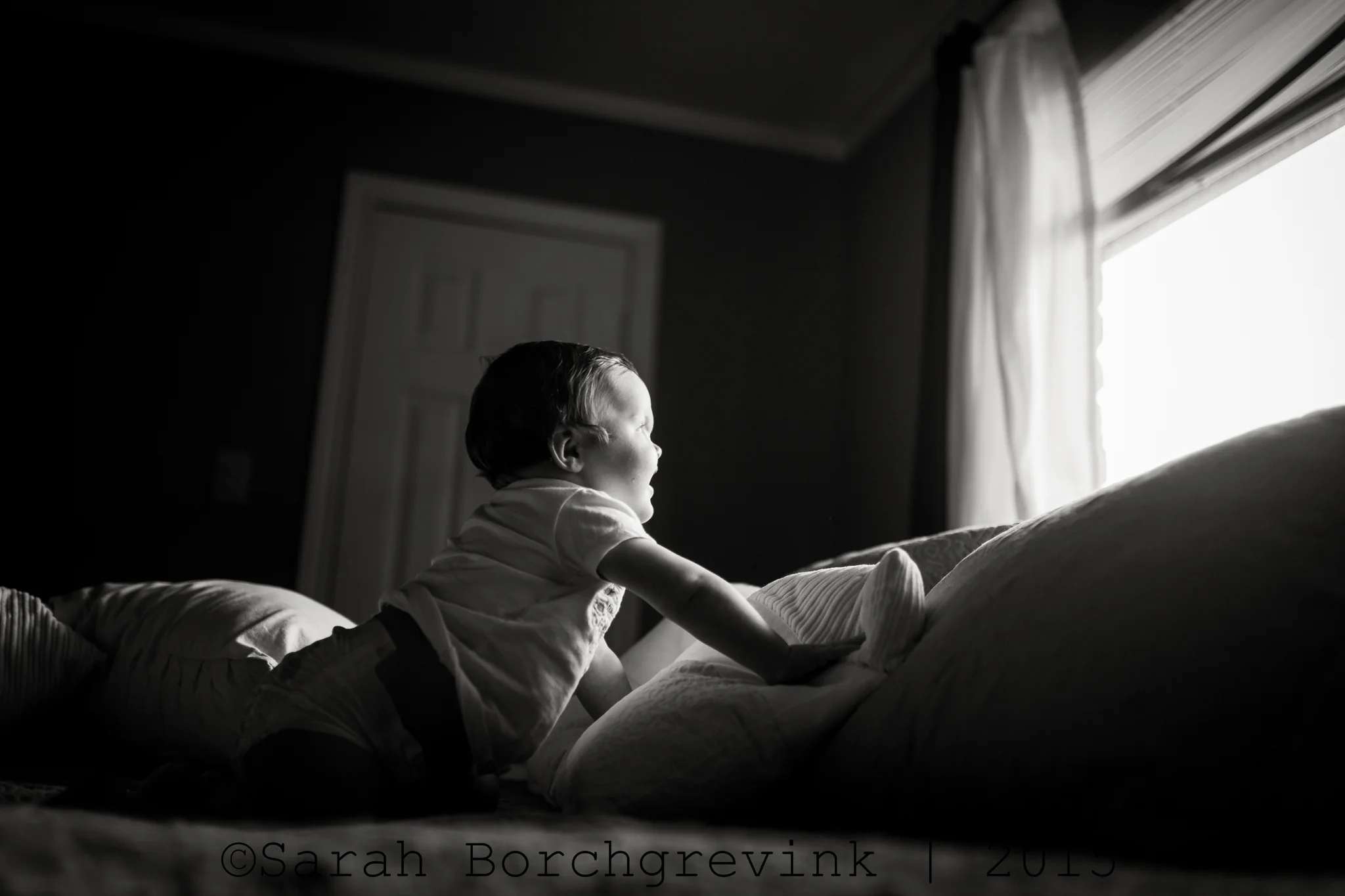 sarah borchgrevink photography