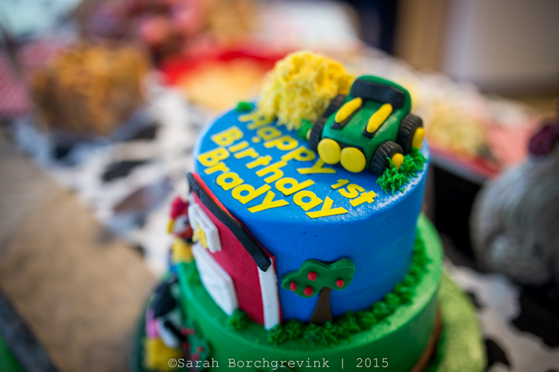 Brady's Barnyard Bash | Houston, TX Child and Event Photographer