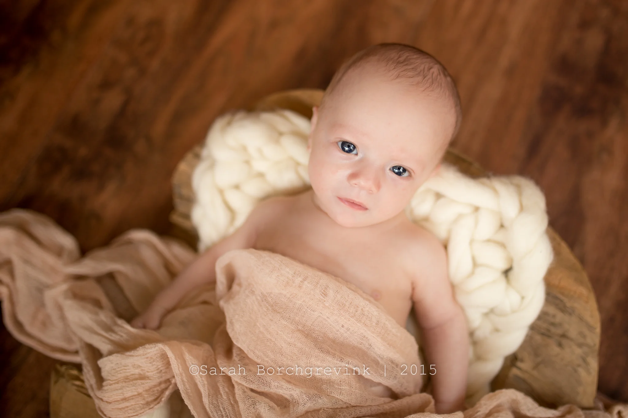 Premature Newborn Session for Twin Boys | 13 Weeks New
