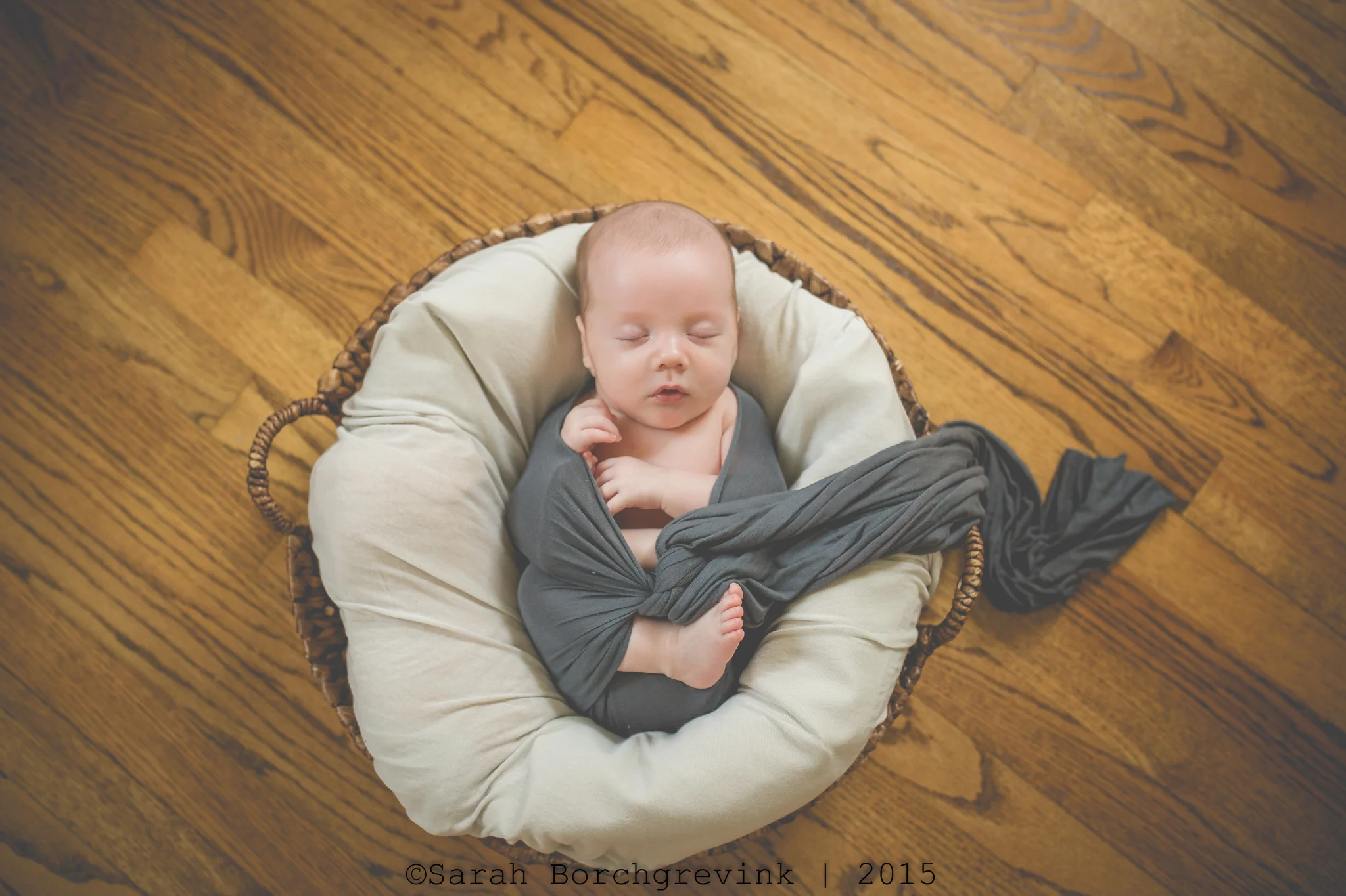 Booking Your Newborn Session for a Premie | Sample Gallery
