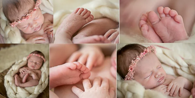 cypress texas newborn and family photographer