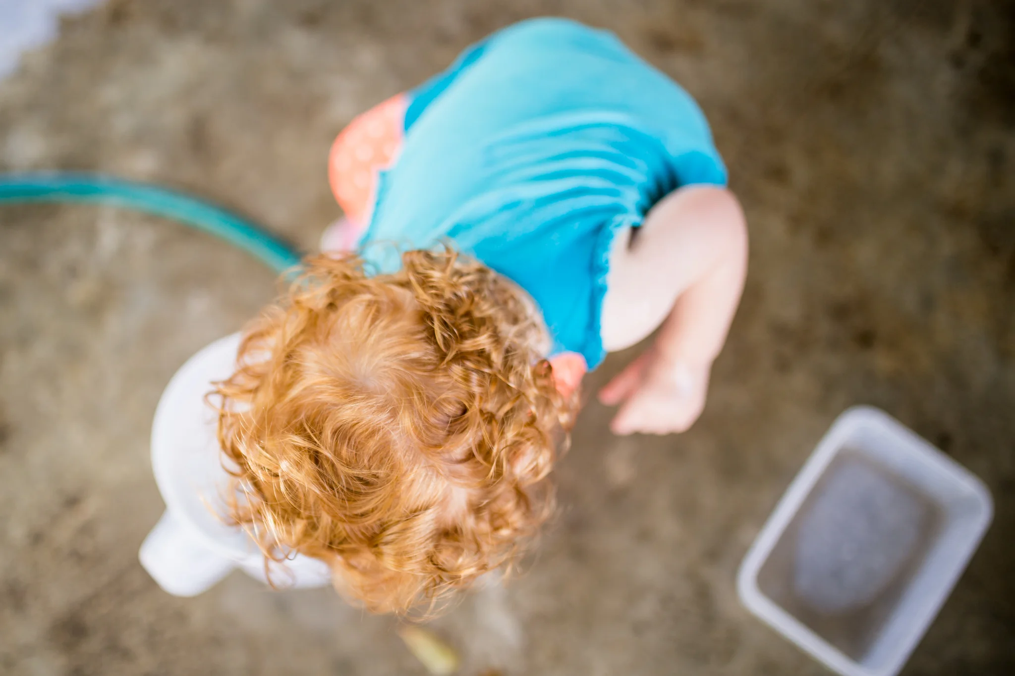sarah borchgrevink photography