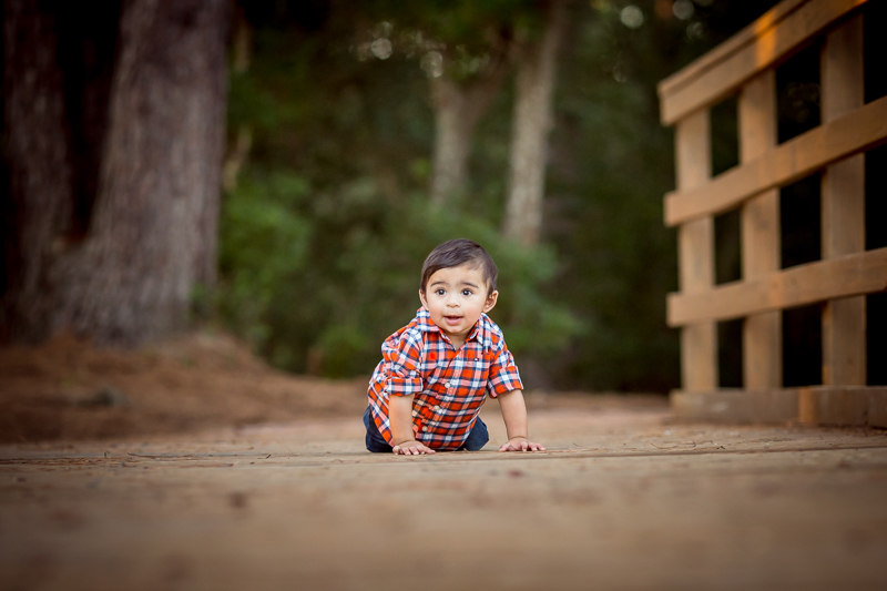 baby photographer houston texas