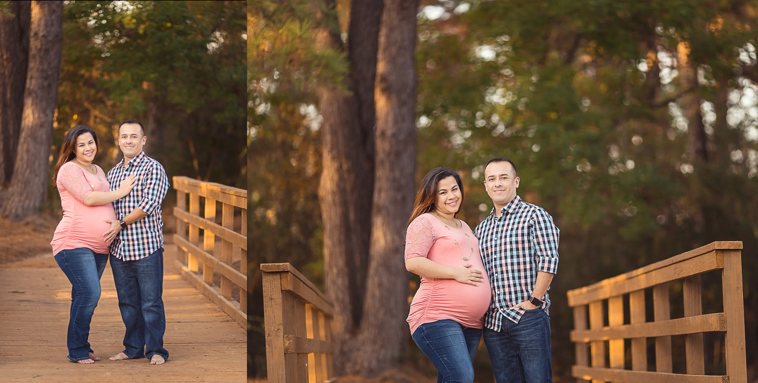 professional maternity portraits 77095