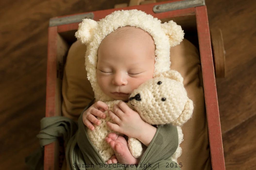 Booking Details for Maternity & Newborn Portraits by Sarah Borchgrevink