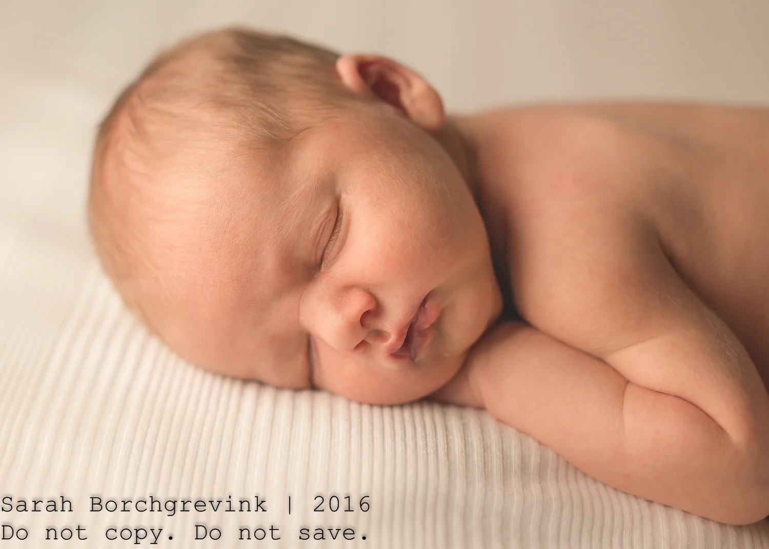 Sarah Borchgrevink Photography