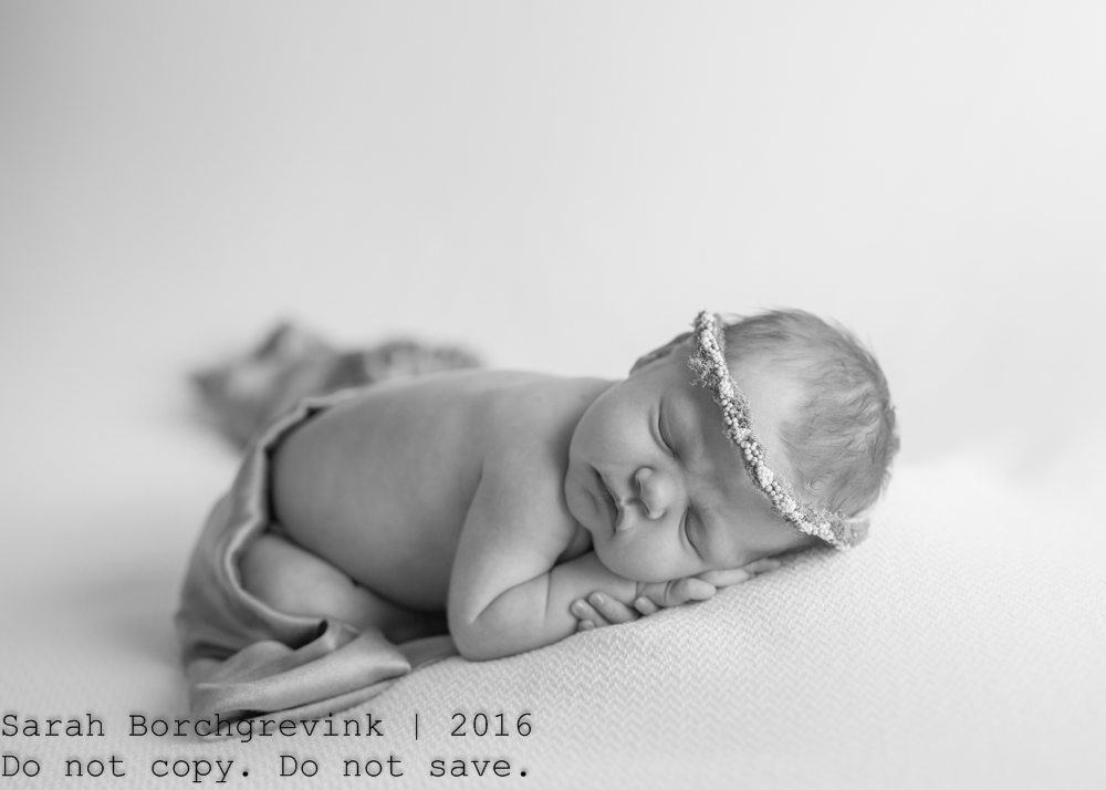 Newborn Photography Tomball TX