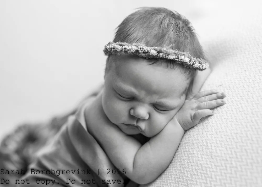 Houston Newborn Photographer In Home