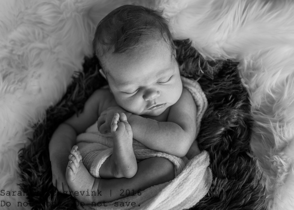 Newborn Photography The Woodlands TX