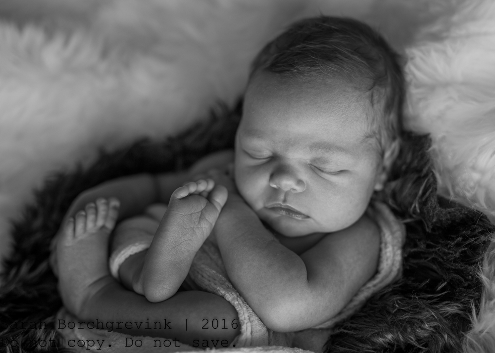 Cypress TX Newborn Photographer