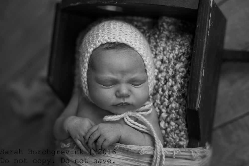 Spring TX Newborn Baby Photos