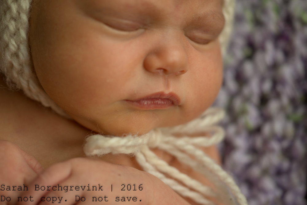 Newborn Photography Spring TX