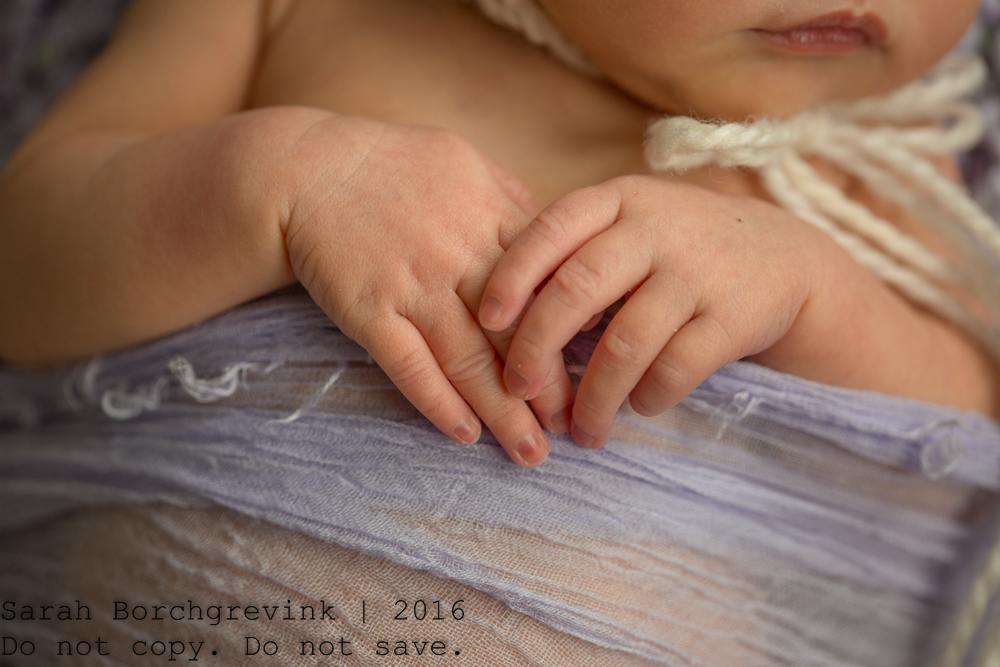 The Woodlands Newborn Photographer