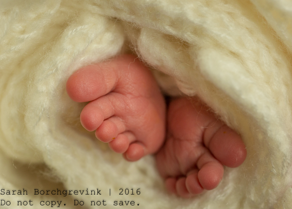 Newborn Photographer Tomball Texas 77375