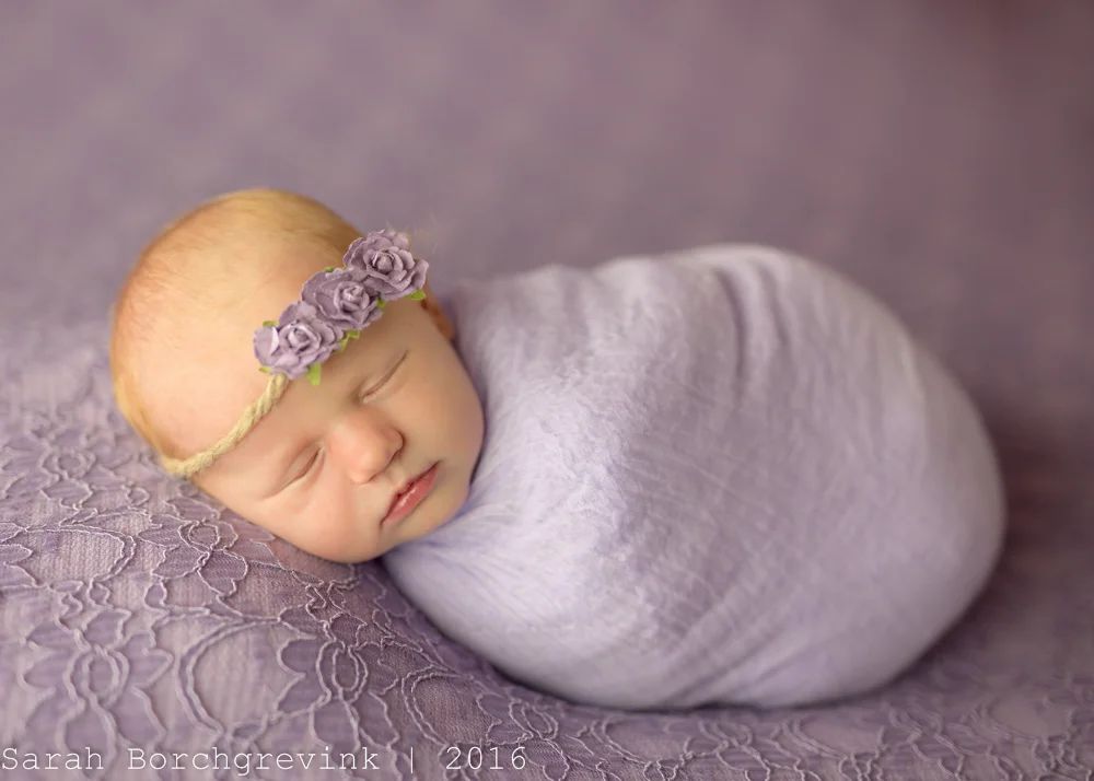 Alyssa's Lavender, Cream and Blush Photos | Houston Newborn Photographers