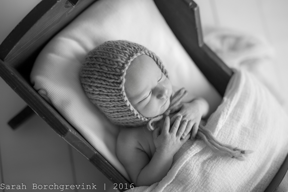 Newborn Photography Houston TX