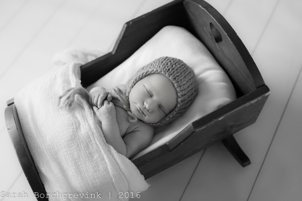 Newborn Photographer Houston Texas