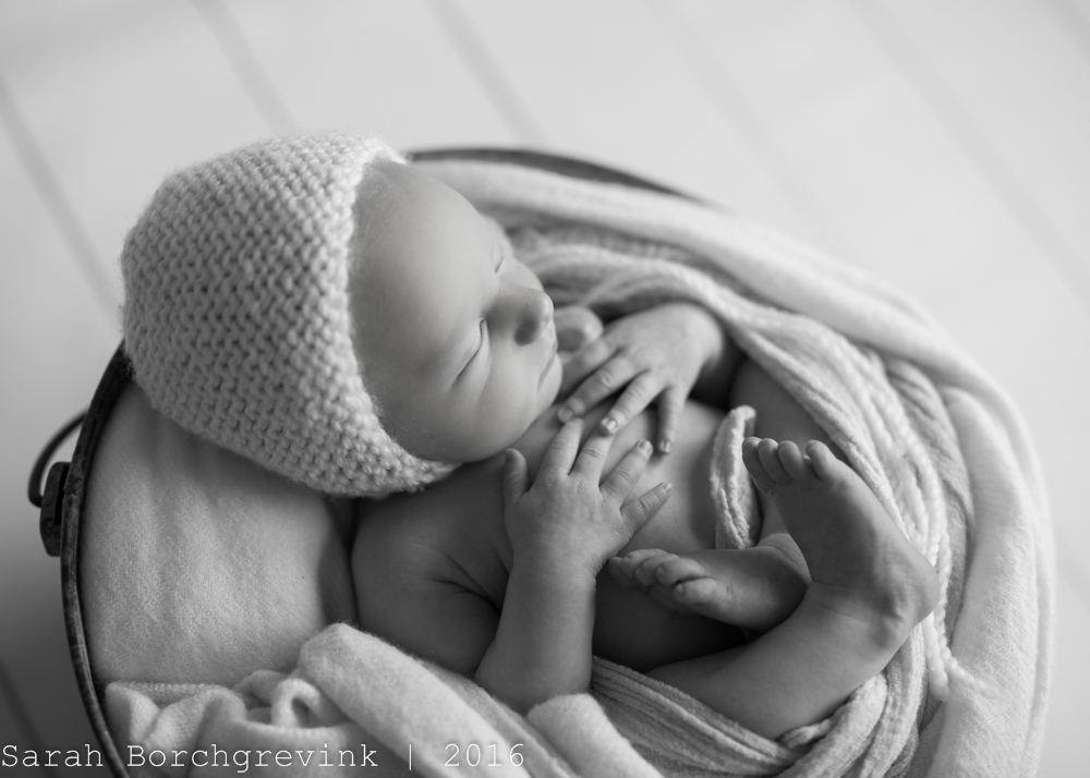 Newborn Photography Spring TX