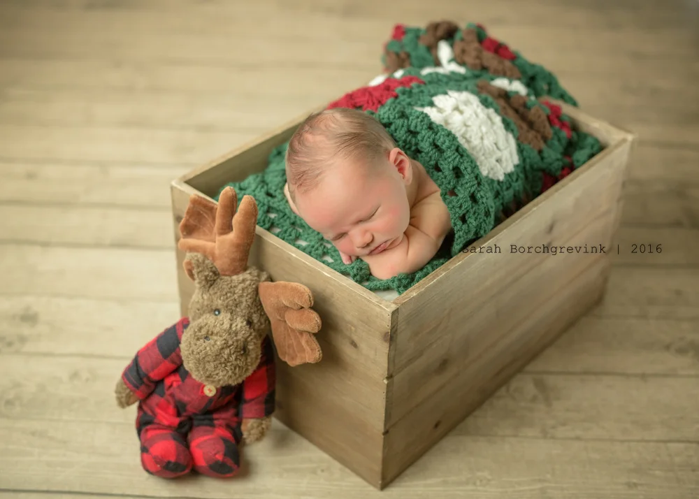 Newborn Photographer Spring