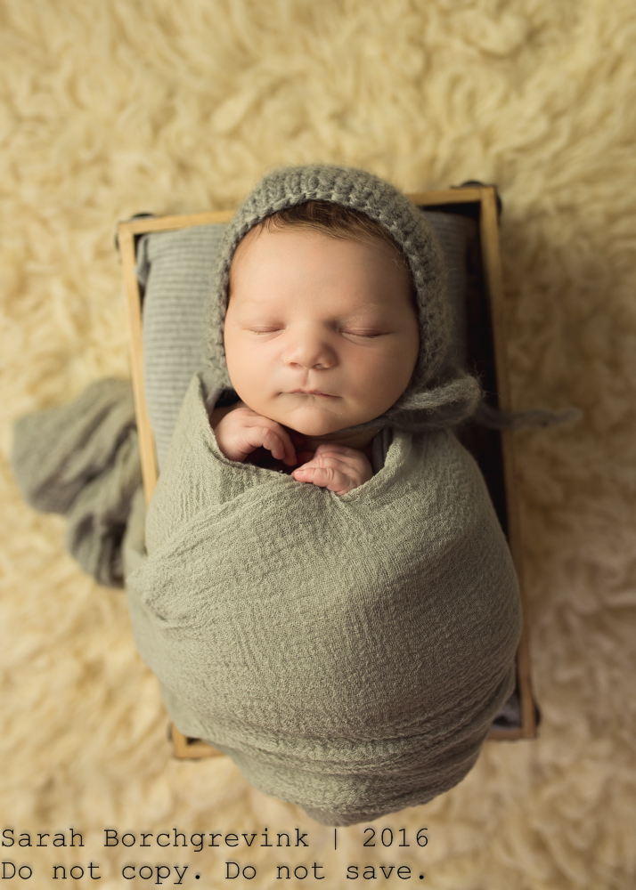 Newborn Photography Katy TX