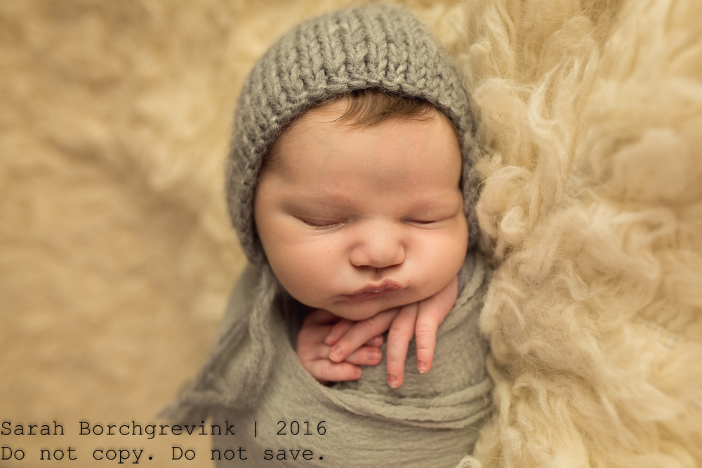 Houston Newborn Photographer