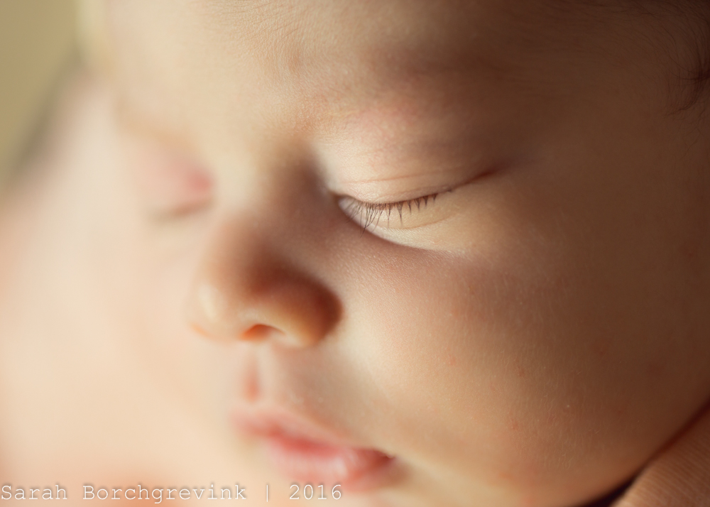 Waller TX Newborn Portraits 