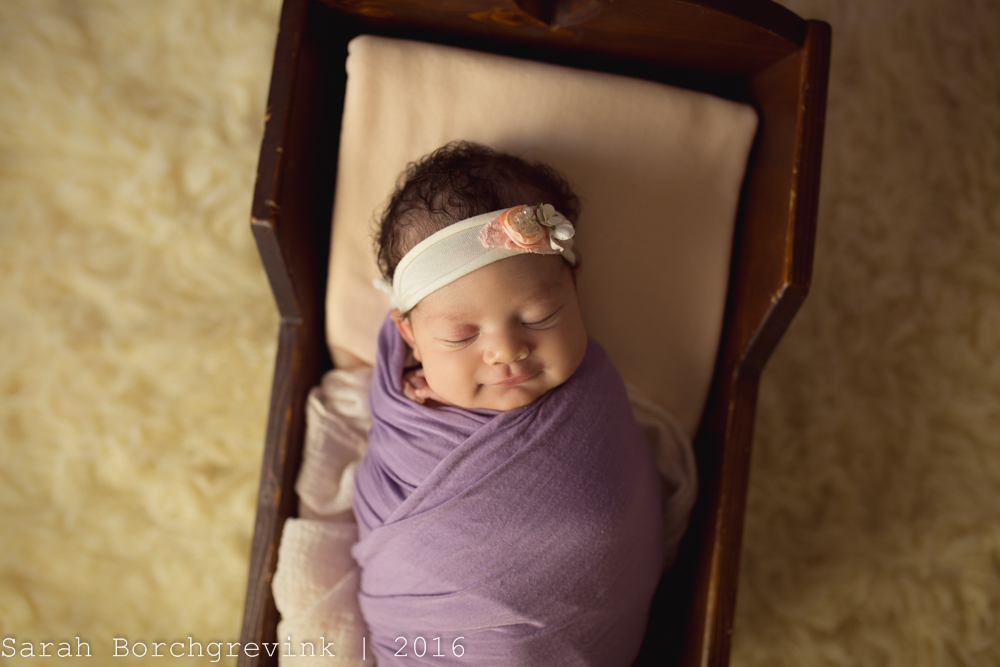 Posed Newborn Photographer Cypress