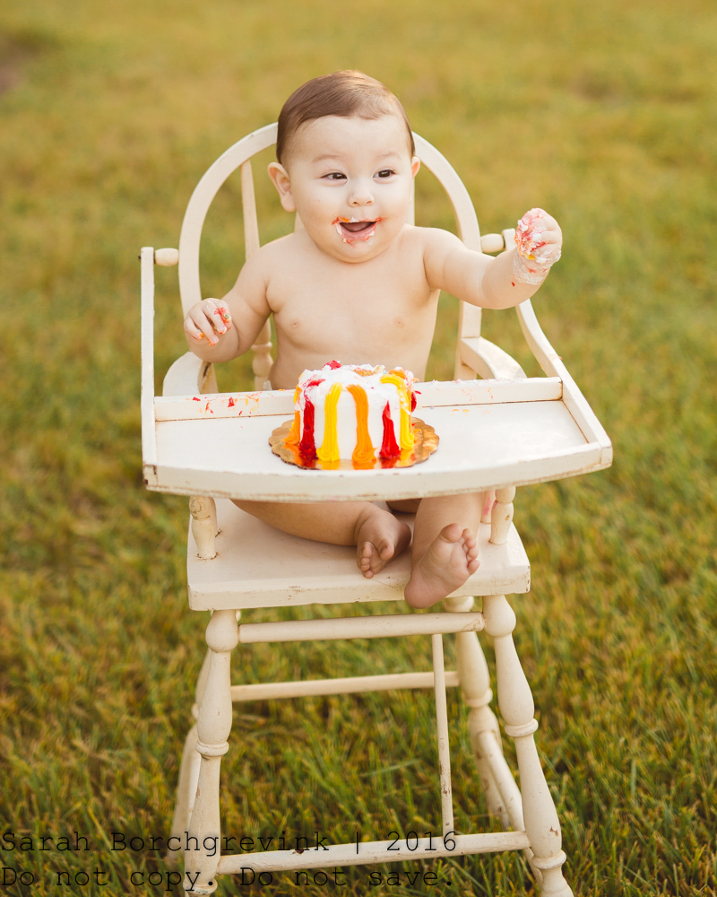 Cypress Cake Smash Photographer