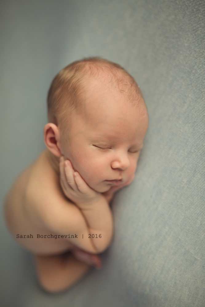 Newborn Photography The Woodlands TX