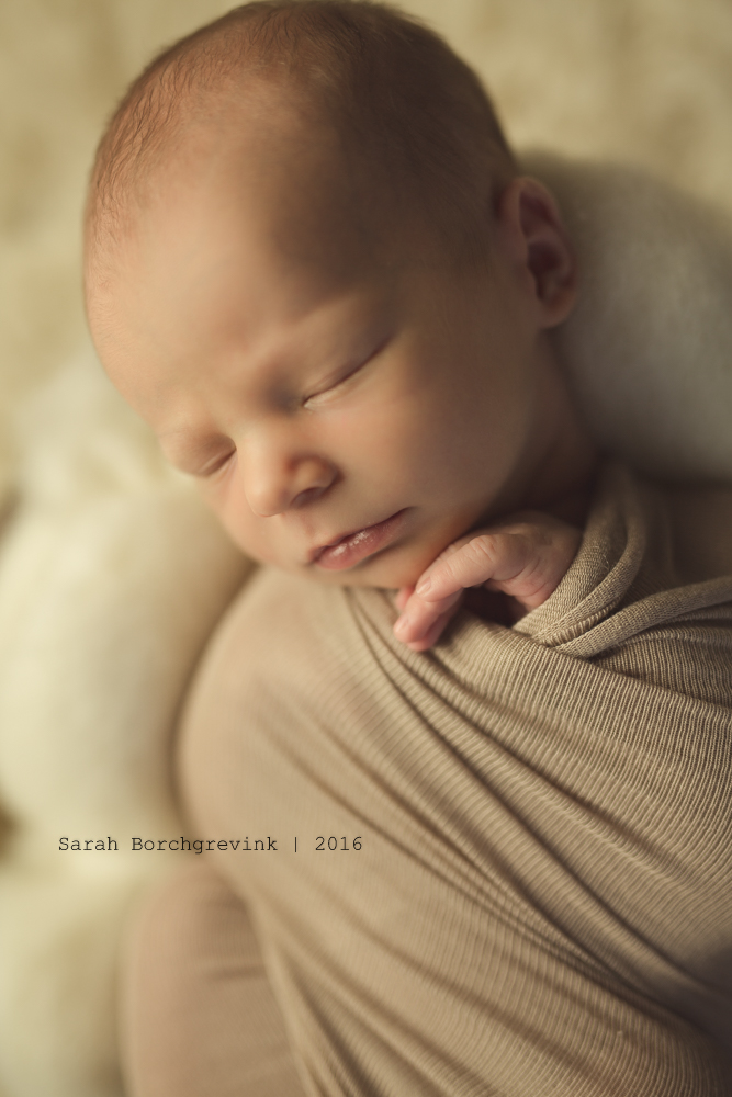 Newborn Photography in Katy TX
